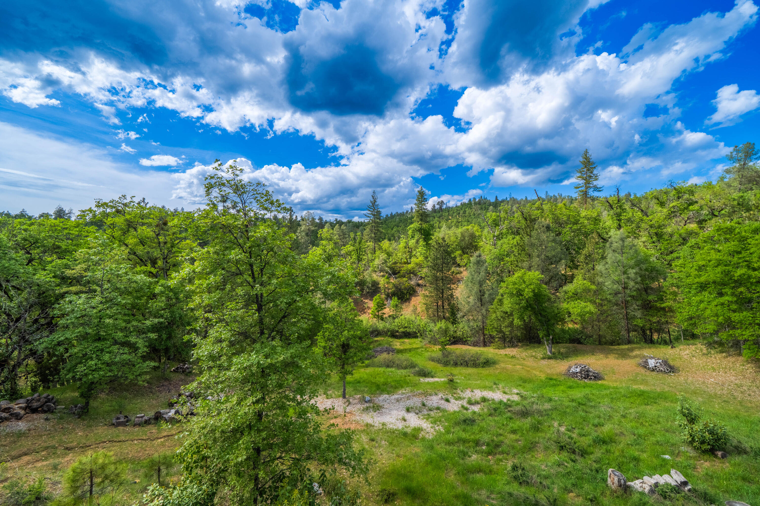 6691 Reading Creek Road Douglas City, CA 96024 - Photo 115 of 125 IMG-111
