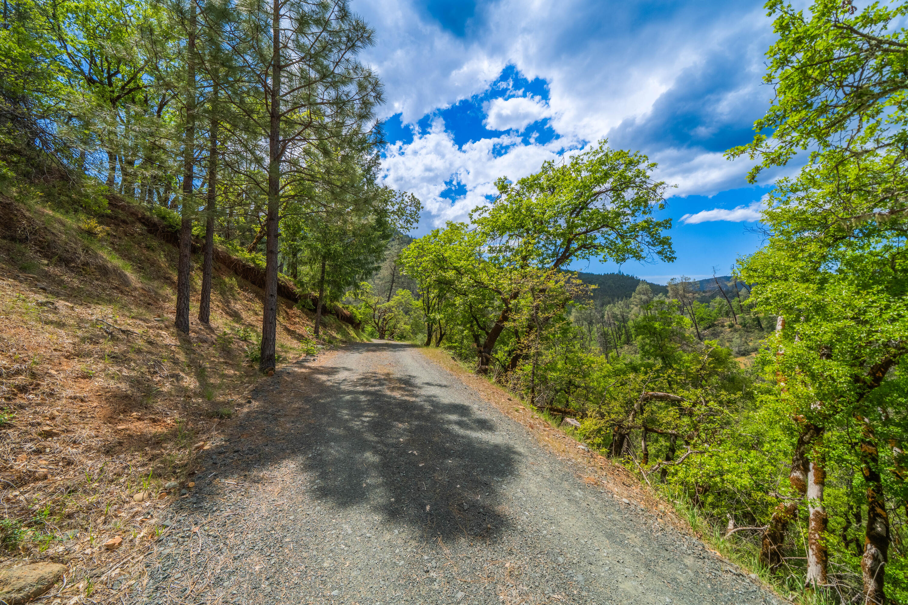 6691 Reading Creek Road Douglas City, CA 96024 - Photo 116 of 125 IMG-112