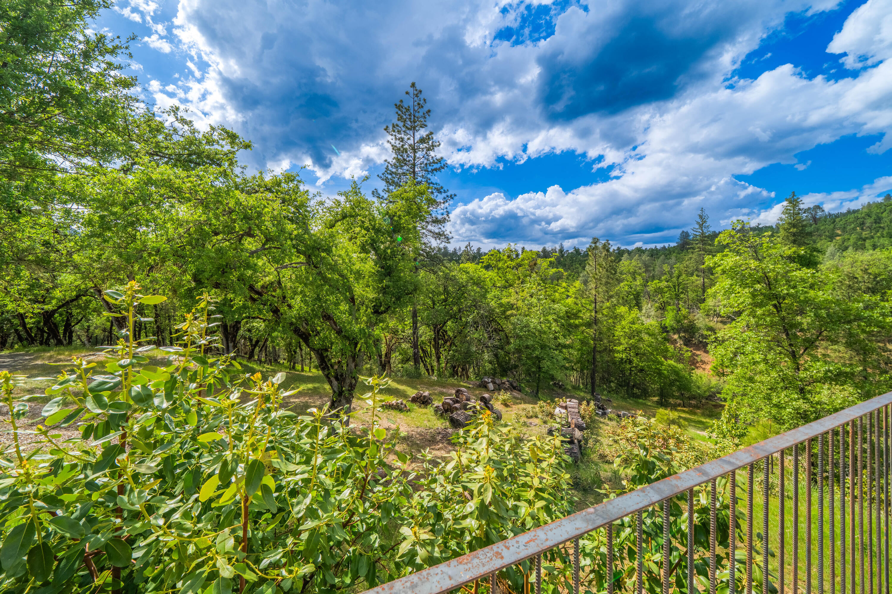 6691 Reading Creek Road Douglas City, CA 96024 - Photo 117 of 125 a view of a yard