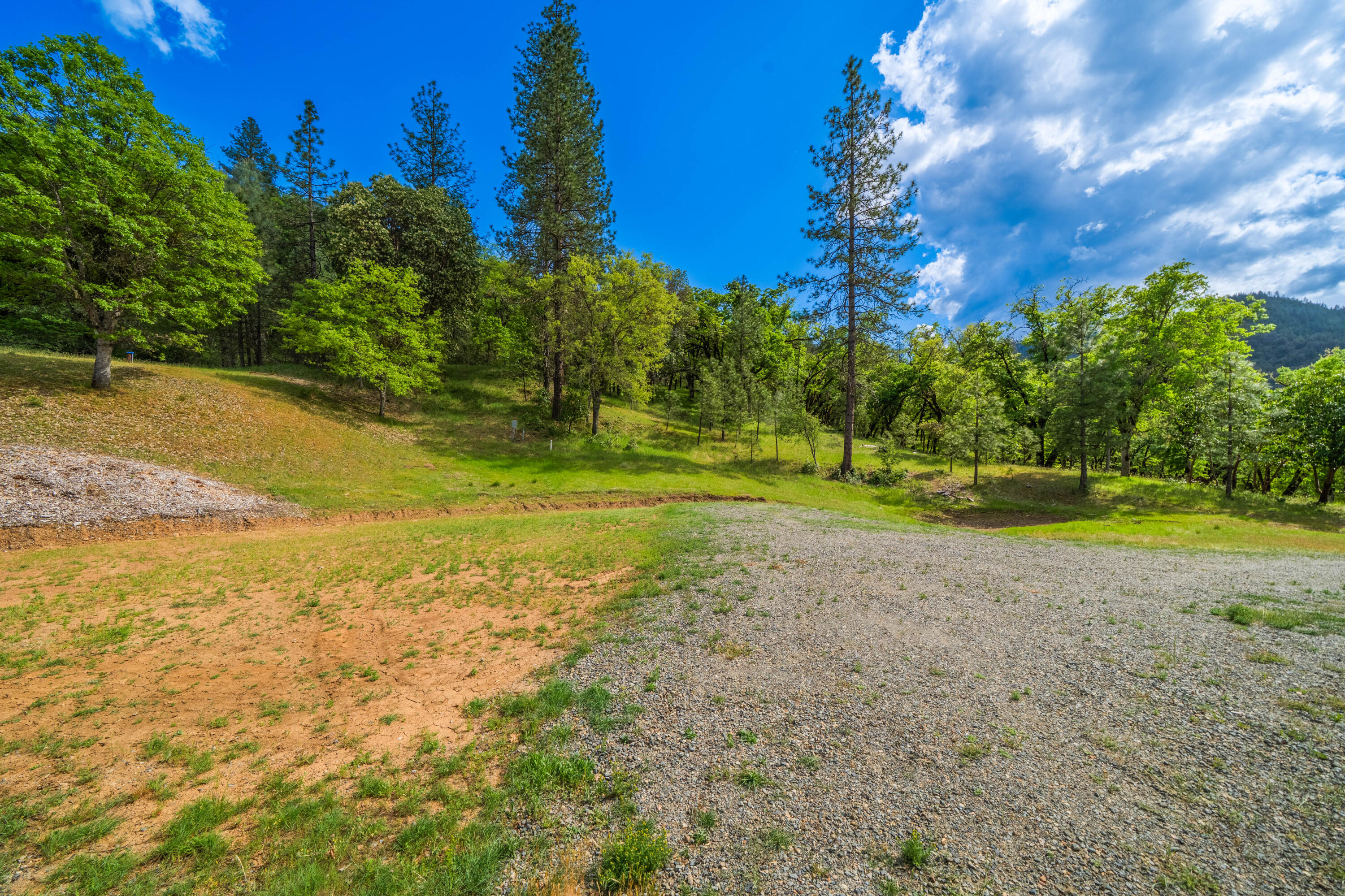 6691 Reading Creek Road Douglas City, CA 96024 - Photo 121 of 125 IMG-117