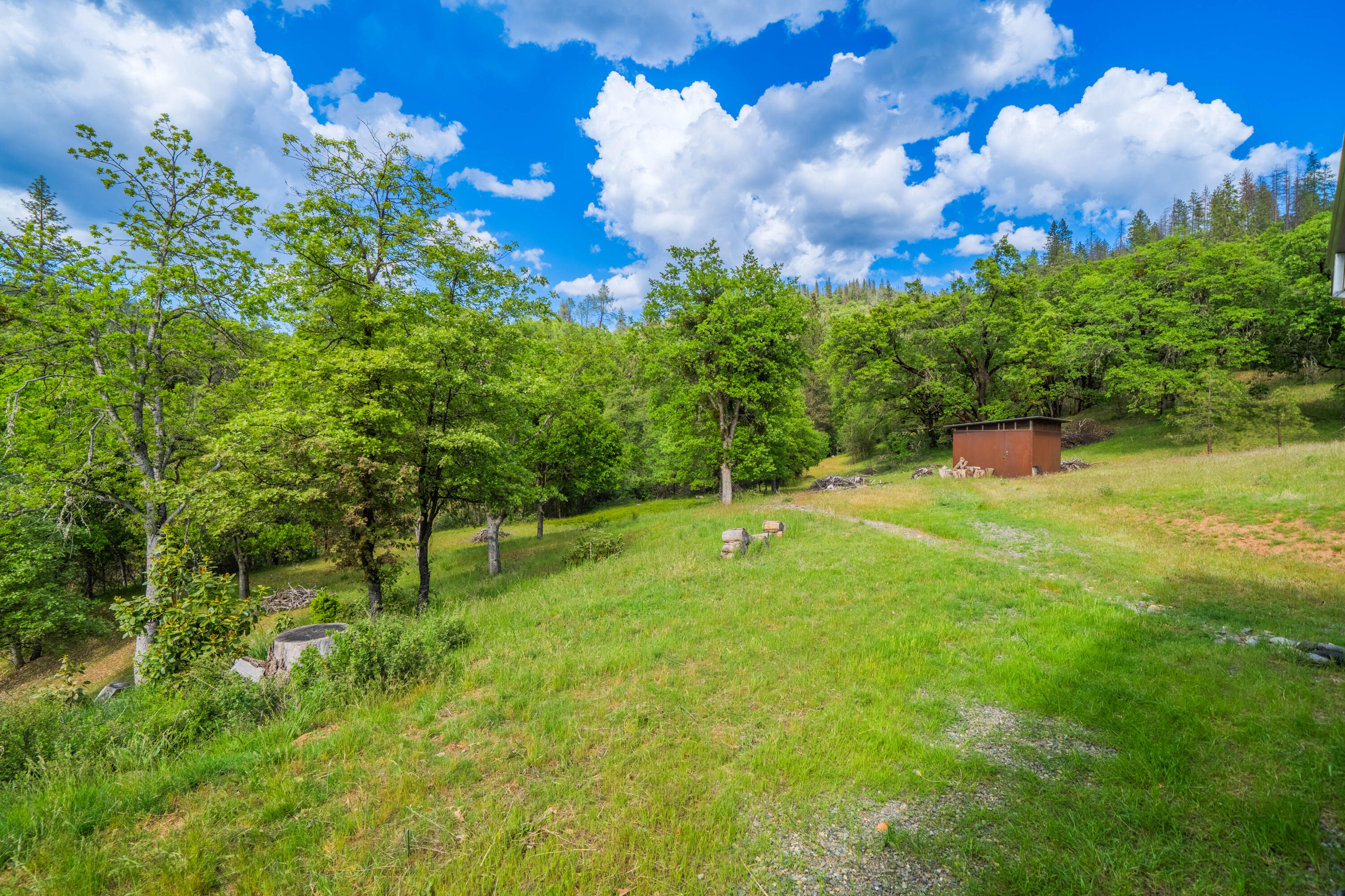 6691 Reading Creek Road Douglas City, CA 96024 - Photo 64 of 125 a backyard of a house with lots of green space