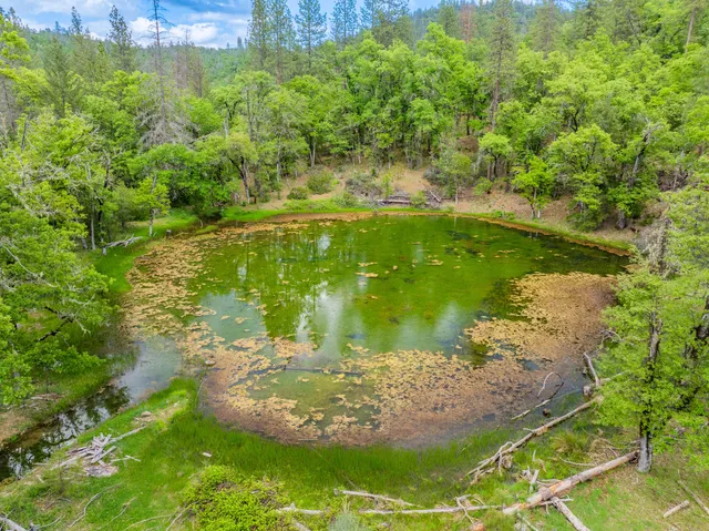 $1,378,000 | 6691 Reading Creek Road, Douglas City, CA 96024