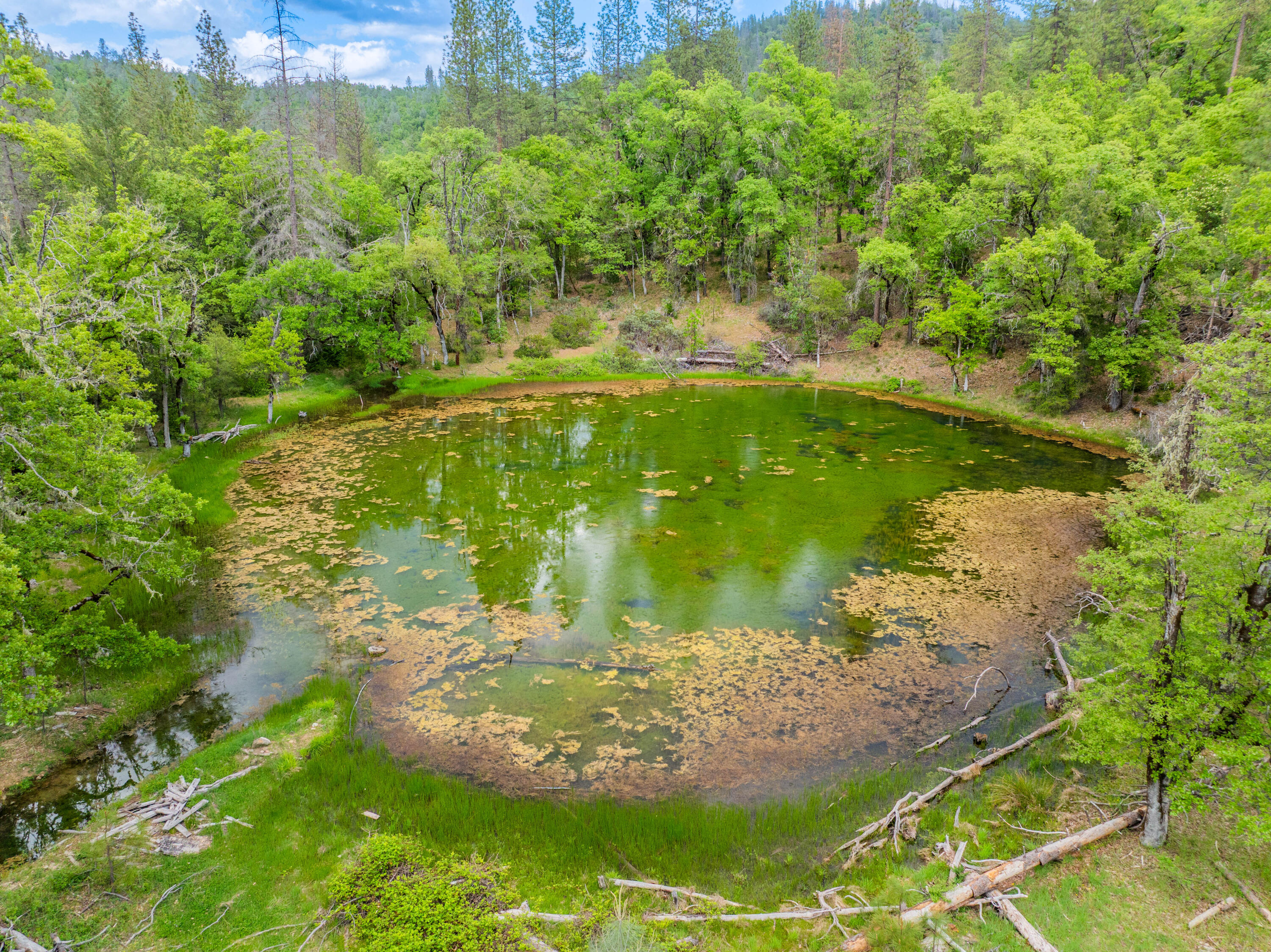 6691 Reading Creek Road Douglas City, CA 96024 - Photo 76 of 125 IMG-071