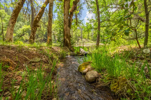 $1,378,000 | 6691 Reading Creek Road, Douglas City, CA 96024