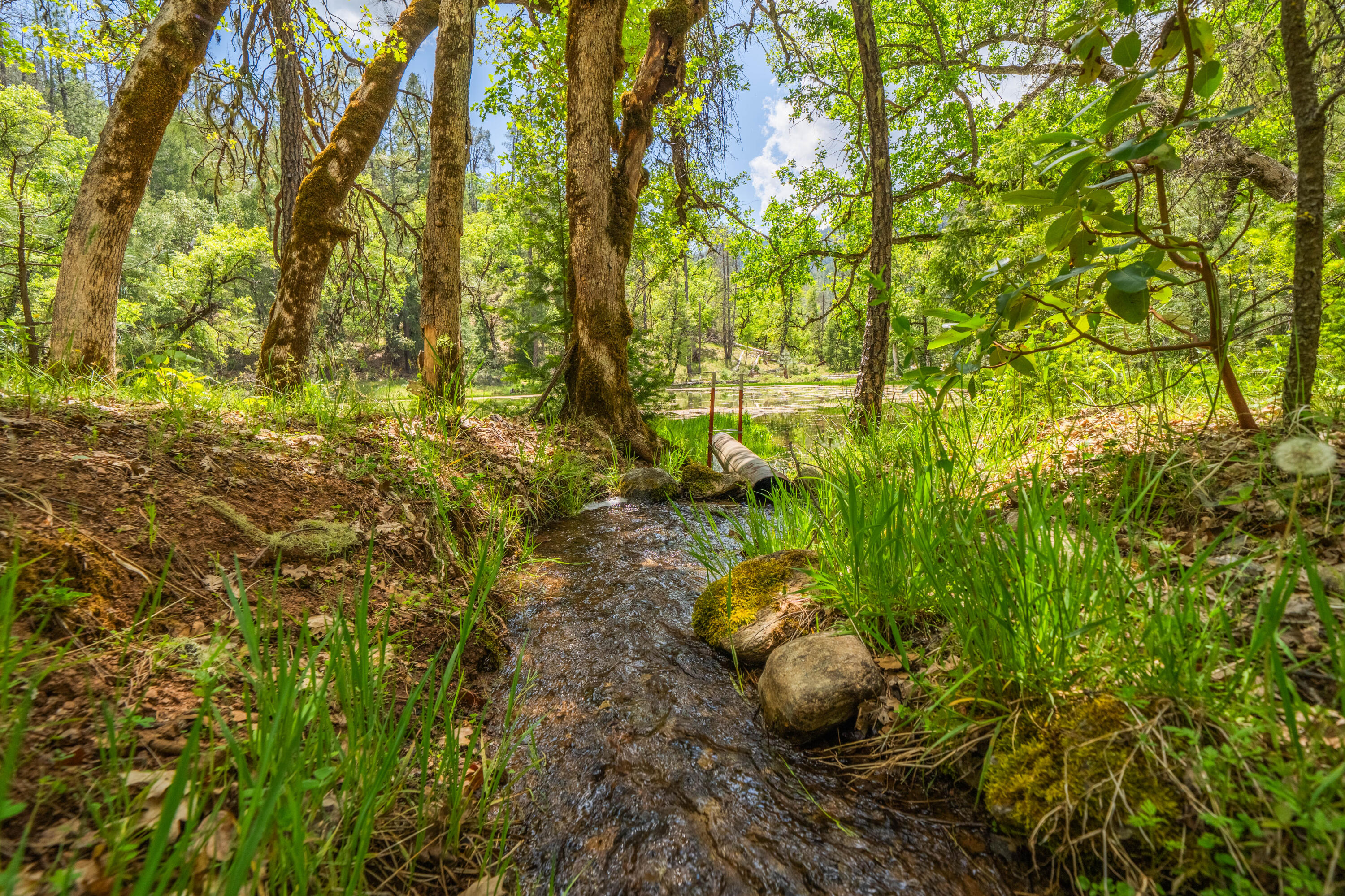 6691 Reading Creek Road Douglas City, CA 96024 - Photo 82 of 125 IMG-077