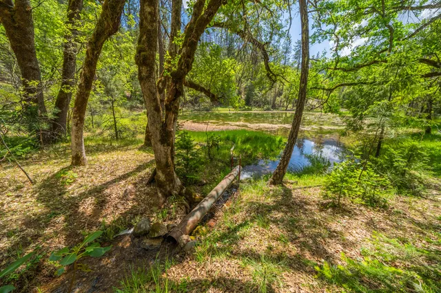 $1,378,000 | 6691 Reading Creek Road, Douglas City, CA 96024