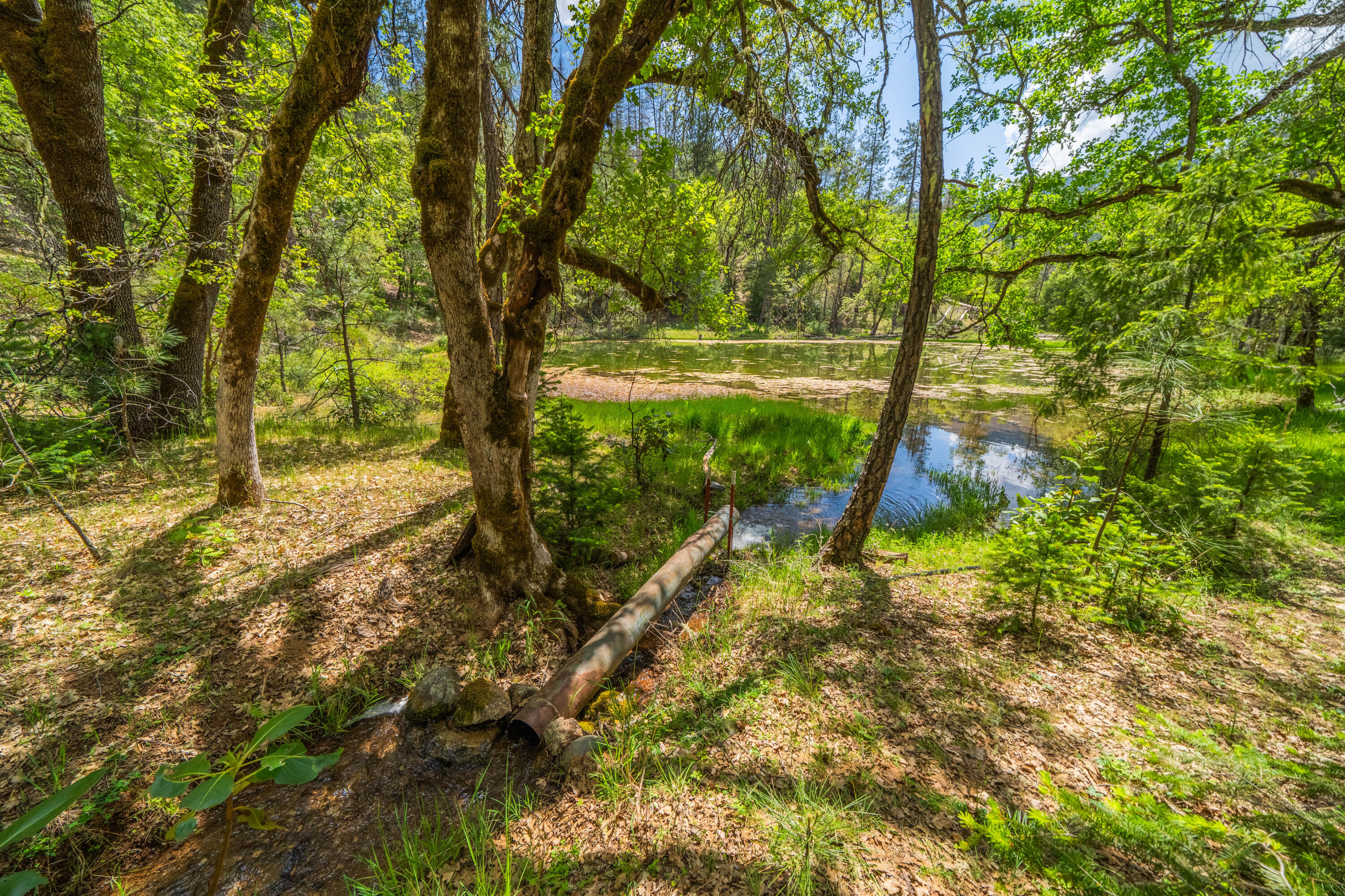 6691 Reading Creek Road Douglas City, CA 96024 - Photo 83 of 125 a view of an outdoor space with a lake view