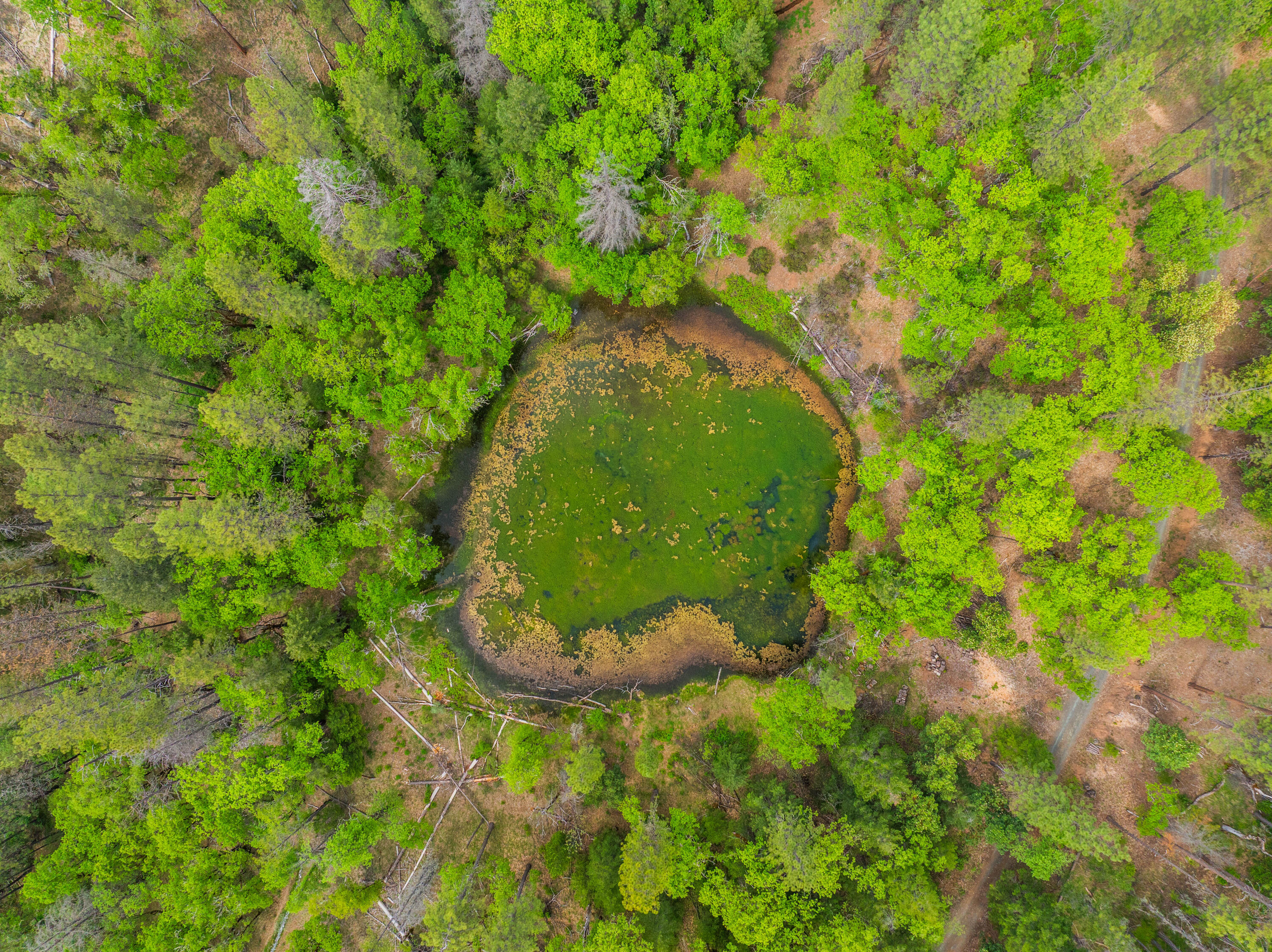 6691 Reading Creek Road Douglas City, CA 96024 - Photo 85 of 125 IMG-080