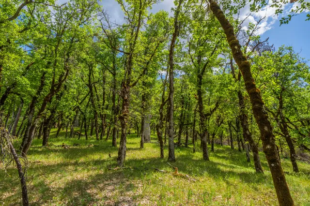 $1,378,000 | 6691 Reading Creek Road, Douglas City, CA 96024