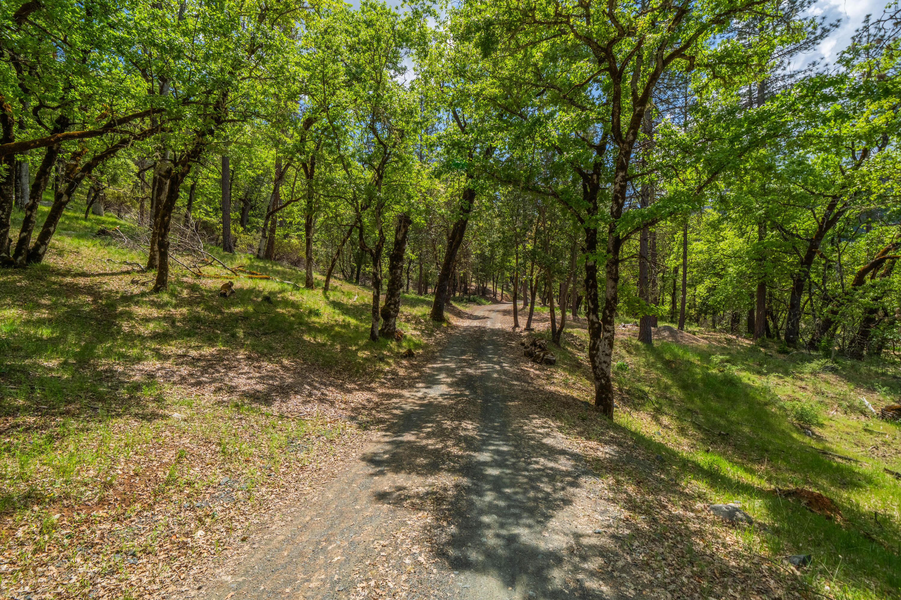 6691 Reading Creek Road Douglas City, CA 96024 - Photo 88 of 125 IMG-084