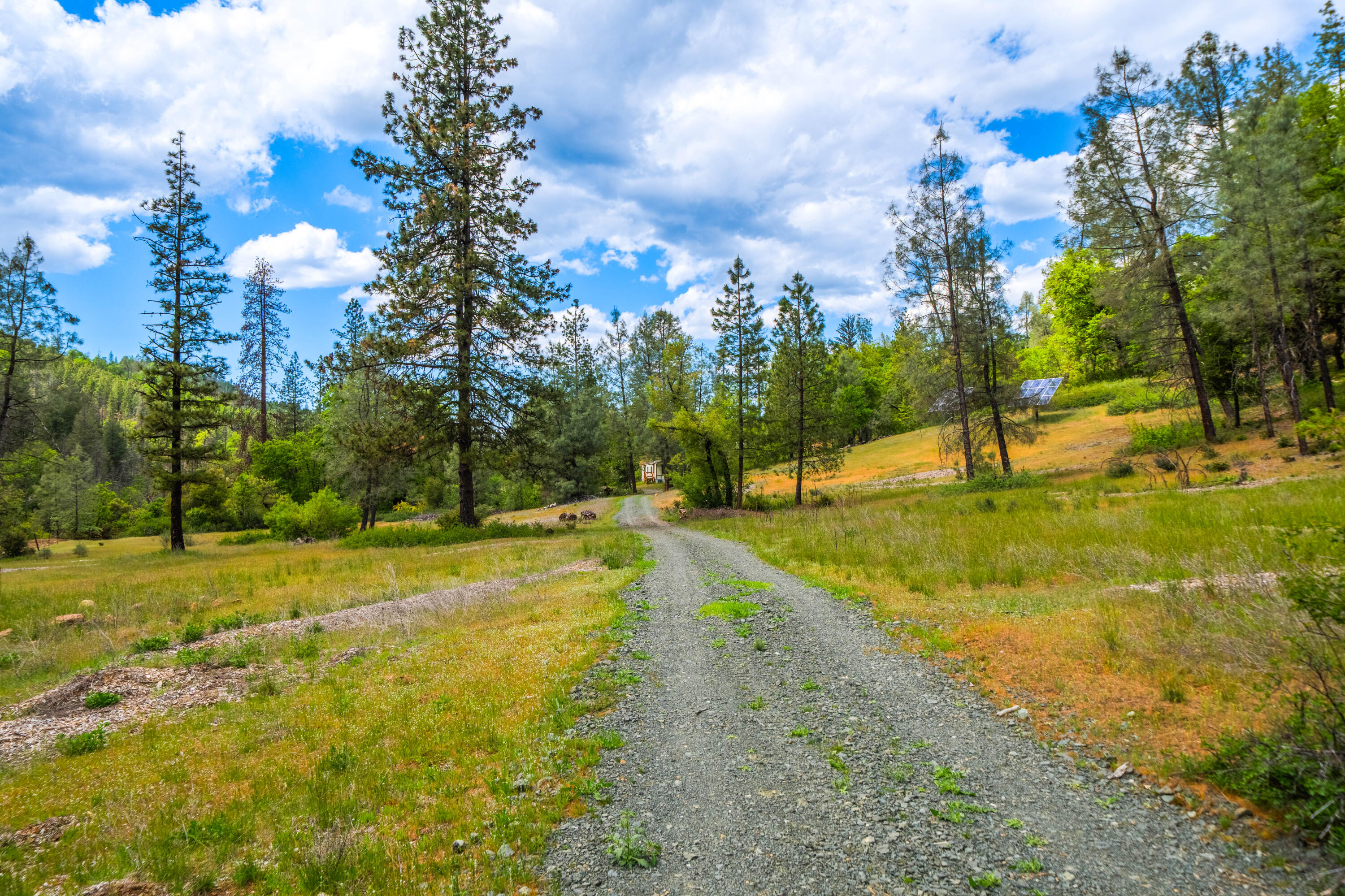 6691 Reading Creek Road Douglas City, CA 96024 - Photo 91 of 125 a view of a yard with swimming pool and trees