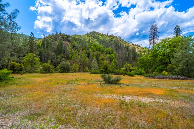 $1,378,000 | 6691 Reading Creek Road, Douglas City, CA 96024