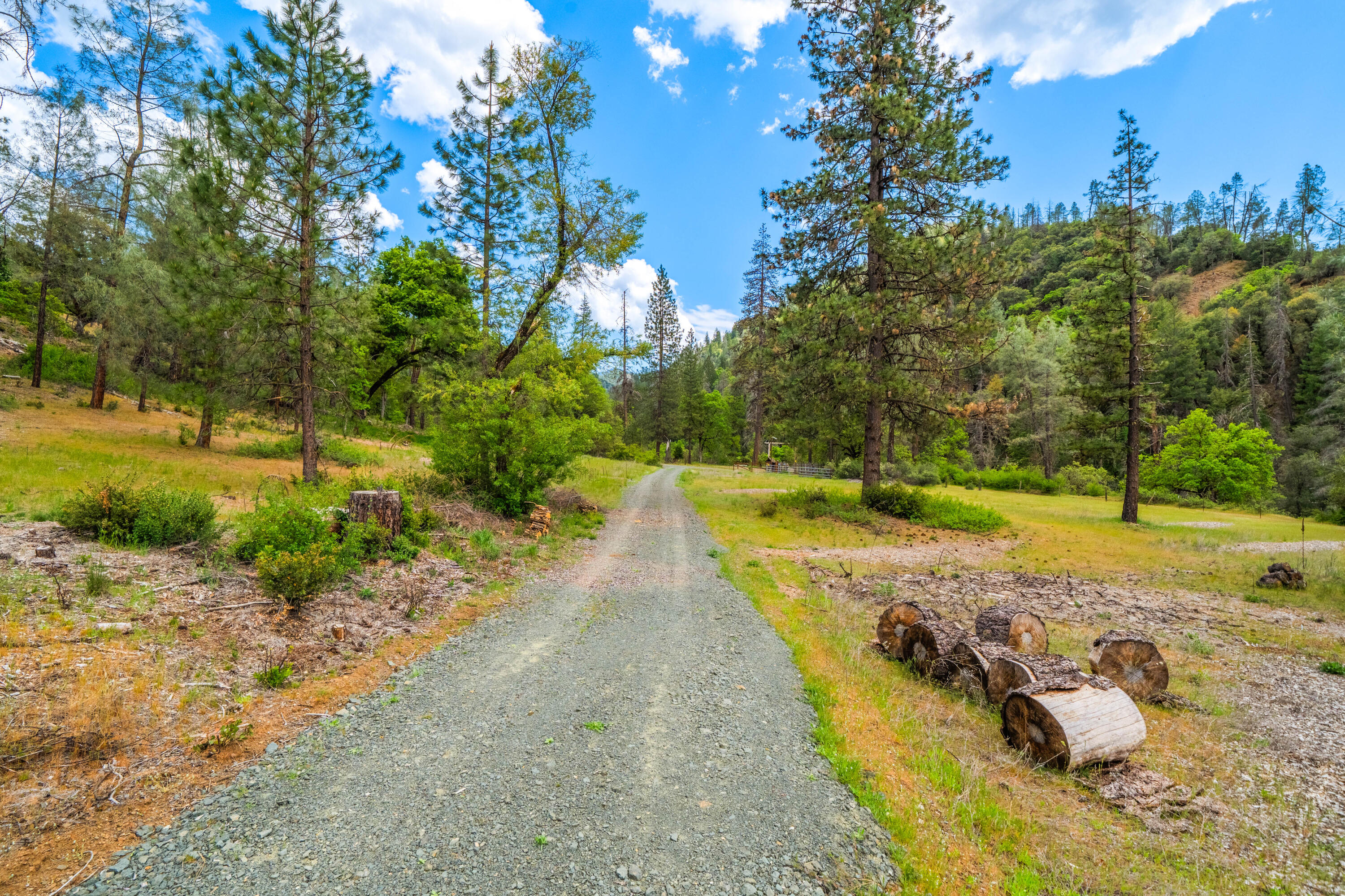 6691 Reading Creek Road Douglas City, CA 96024 - Photo 93 of 125 IMG-089