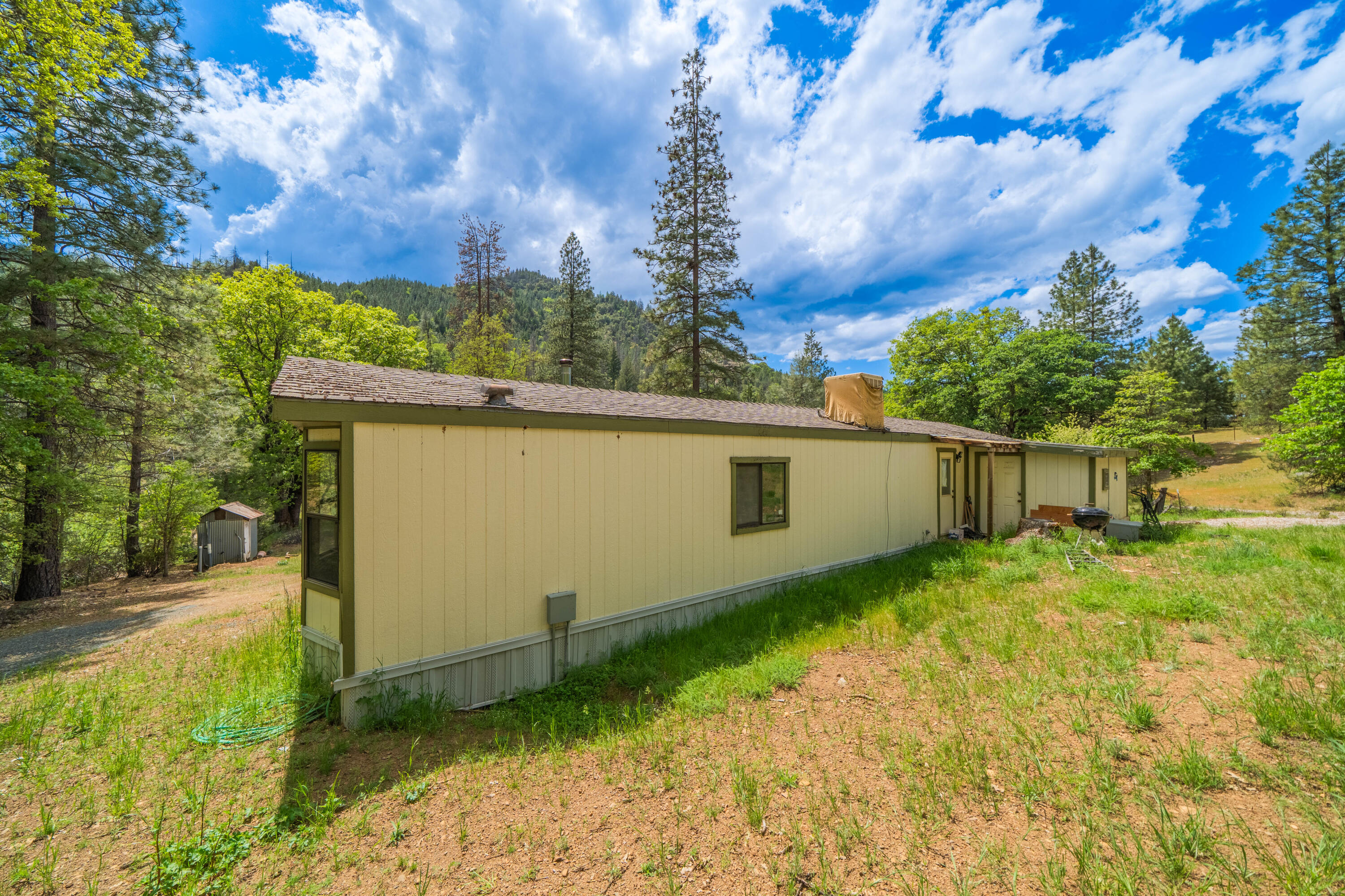 6691 Reading Creek Road Douglas City, CA 96024 - Photo 97 of 125 a backyard of a house with lots of green space