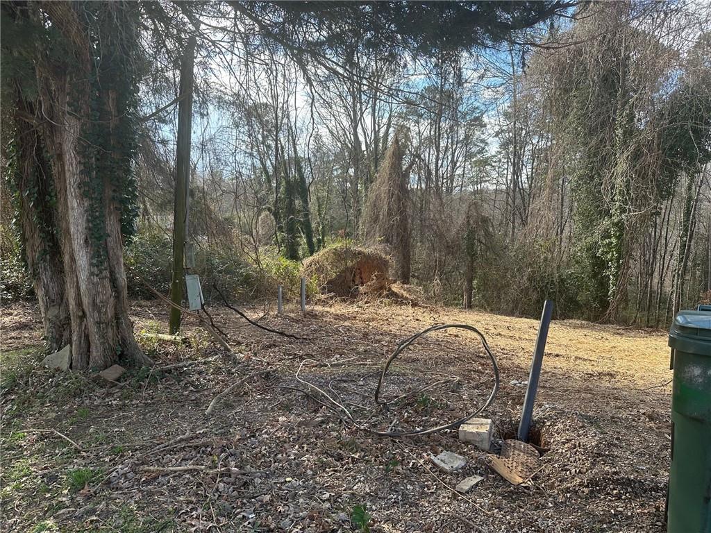 550 Baldwin Falls Road Baldwin, GA 30511 - Photo 2 of 7