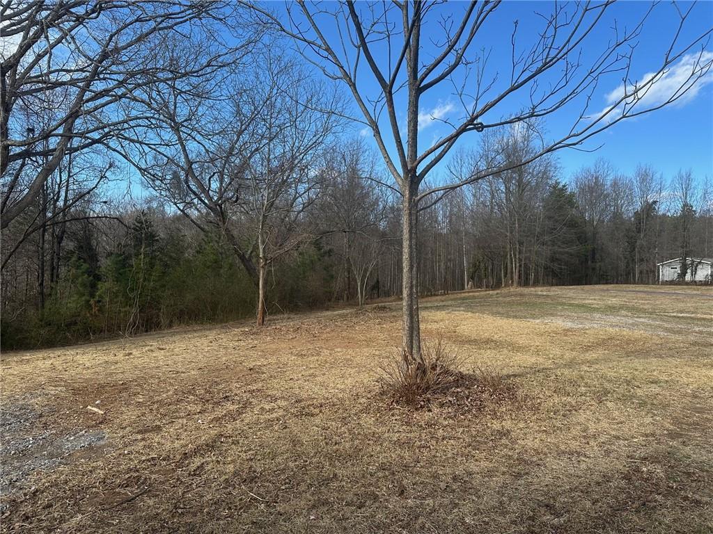 550 Baldwin Falls Road Baldwin, GA 30511 - Photo 3 of 7