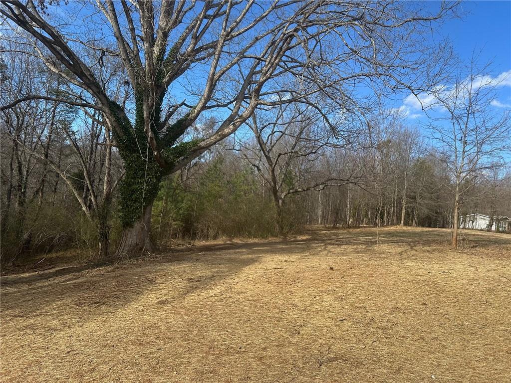 550 Baldwin Falls Road Baldwin, GA 30511 - Photo 4 of 7