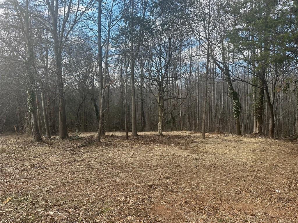 550 Baldwin Falls Road Baldwin, GA 30511 - Photo 6 of 7