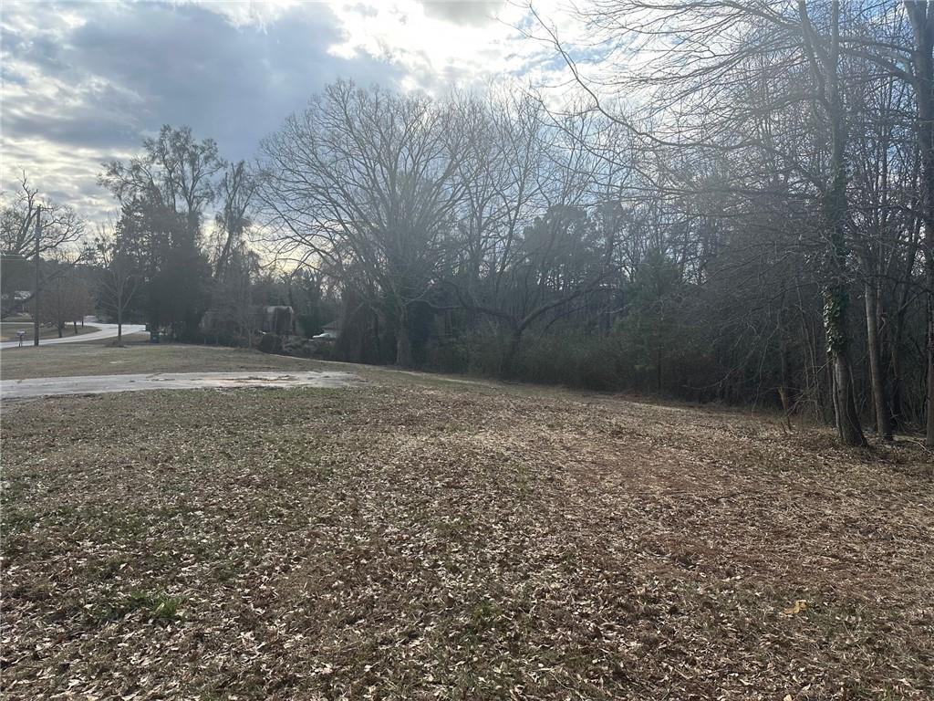 550 Baldwin Falls Road Baldwin, GA 30511 - Photo 7 of 7