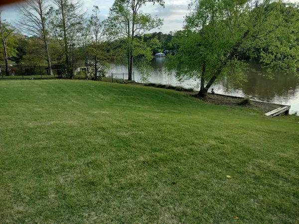 a view of a park with a tree
