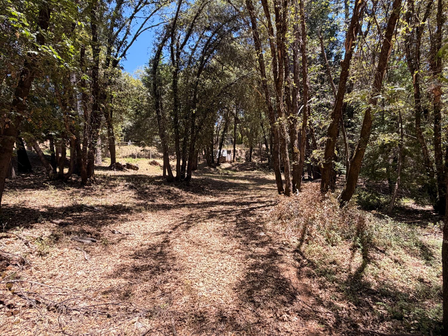 16404 Greenhorn Road Grass Valley, CA 95945 - Photo 4 of 25