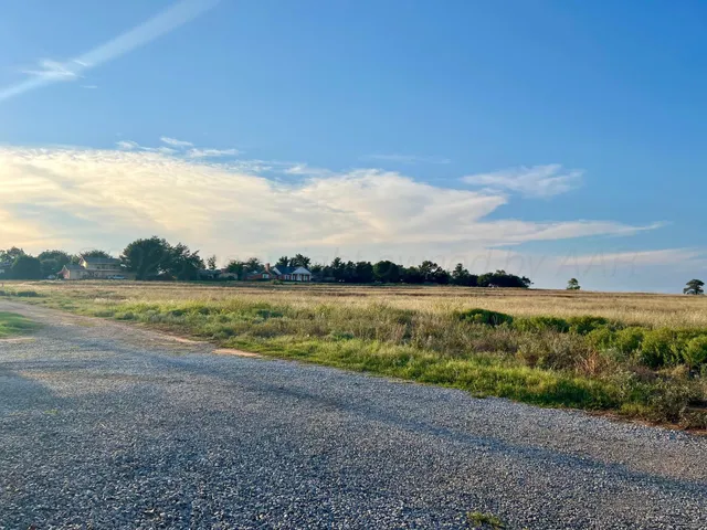 a view of a green field with lots of bushes