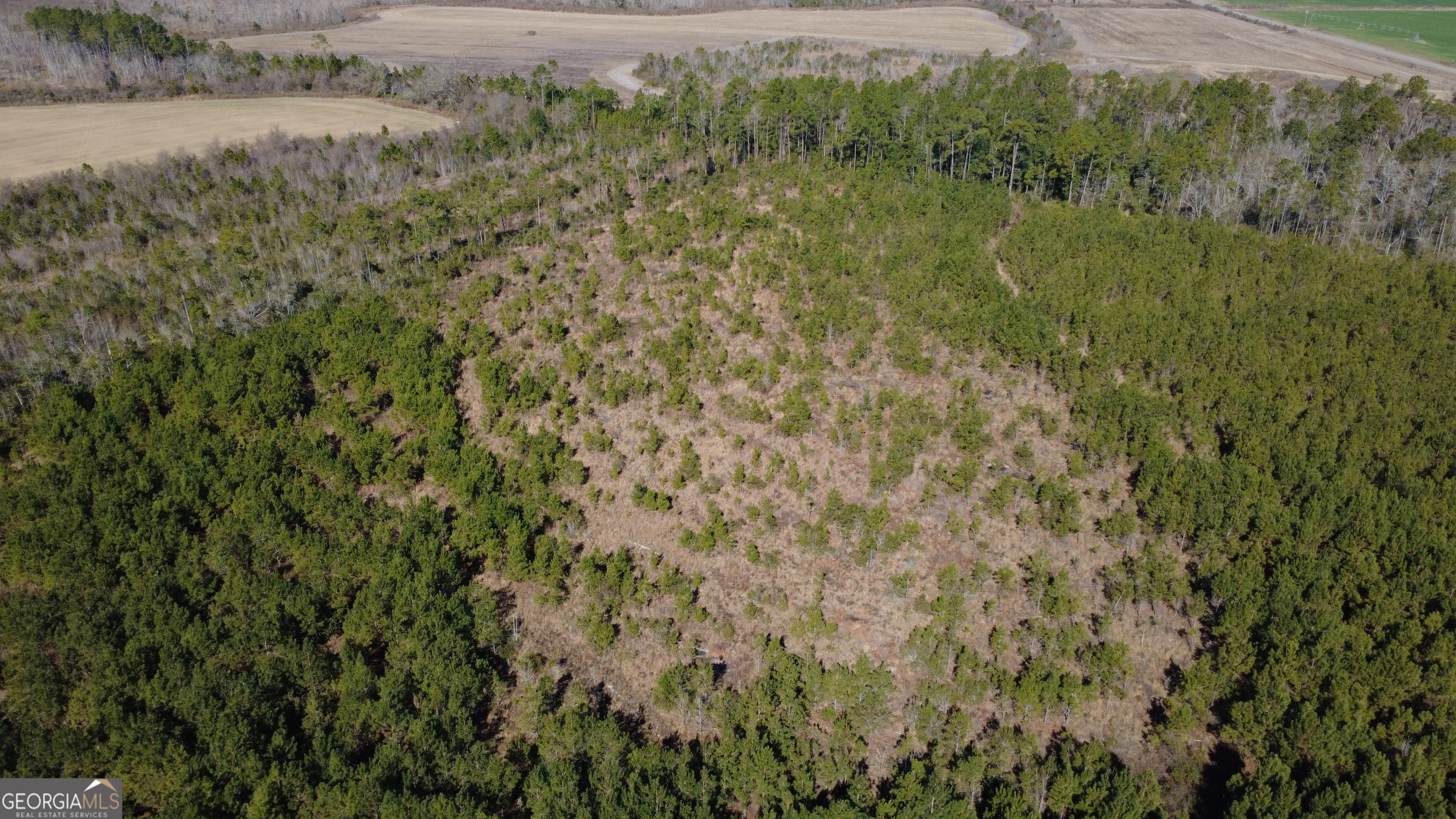 1 Greyhound Road Mershon, GA 31551 - Photo 3 of 7