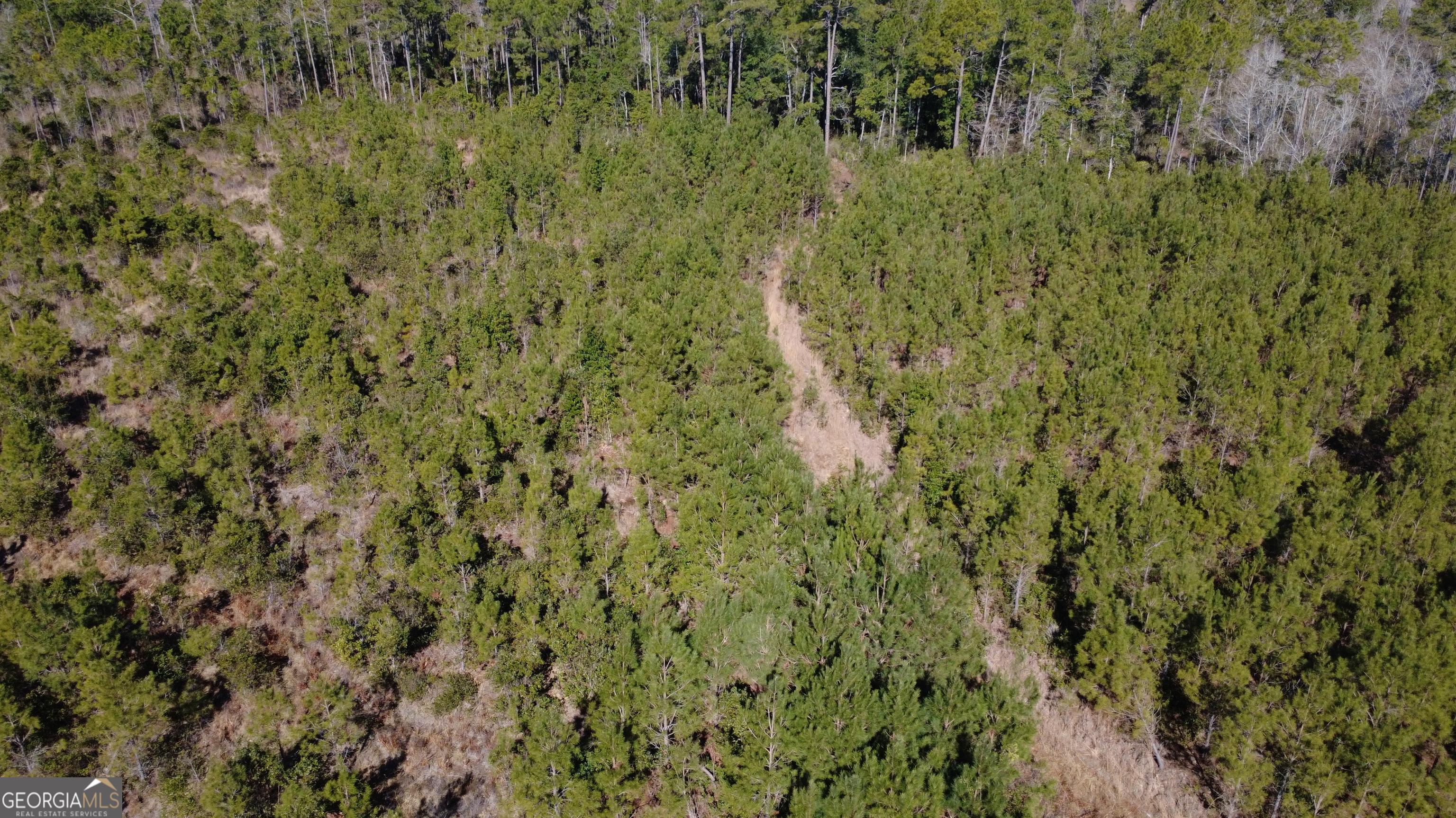 1 Greyhound Road Mershon, GA 31551 - Photo 4 of 7