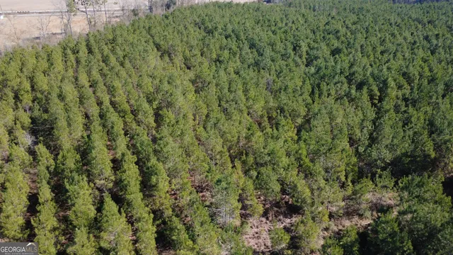 $60,000 | 1 Greyhound Road, Mershon, GA 31551