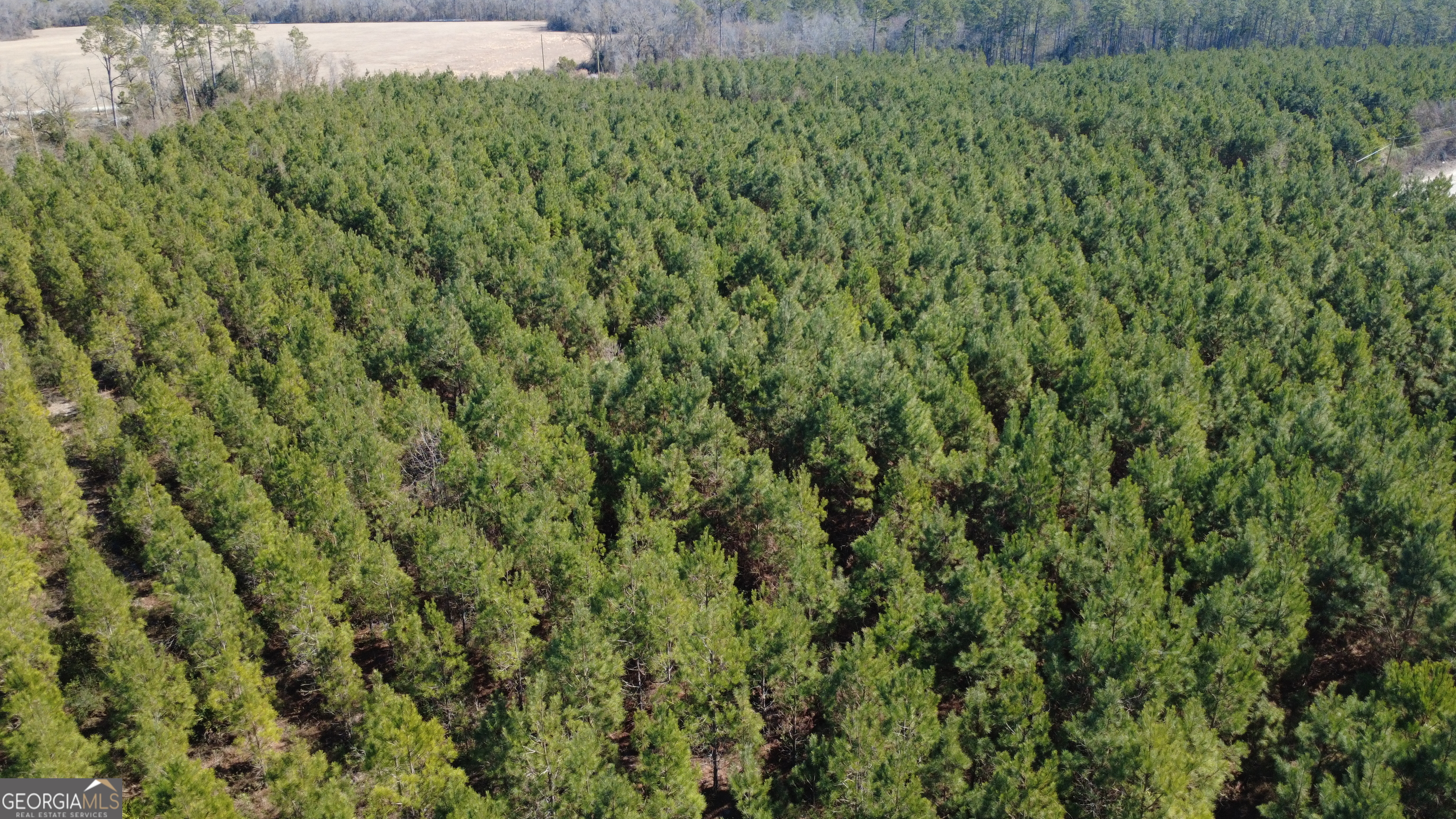 1 Greyhound Road Mershon, GA 31551 - Photo 6 of 7