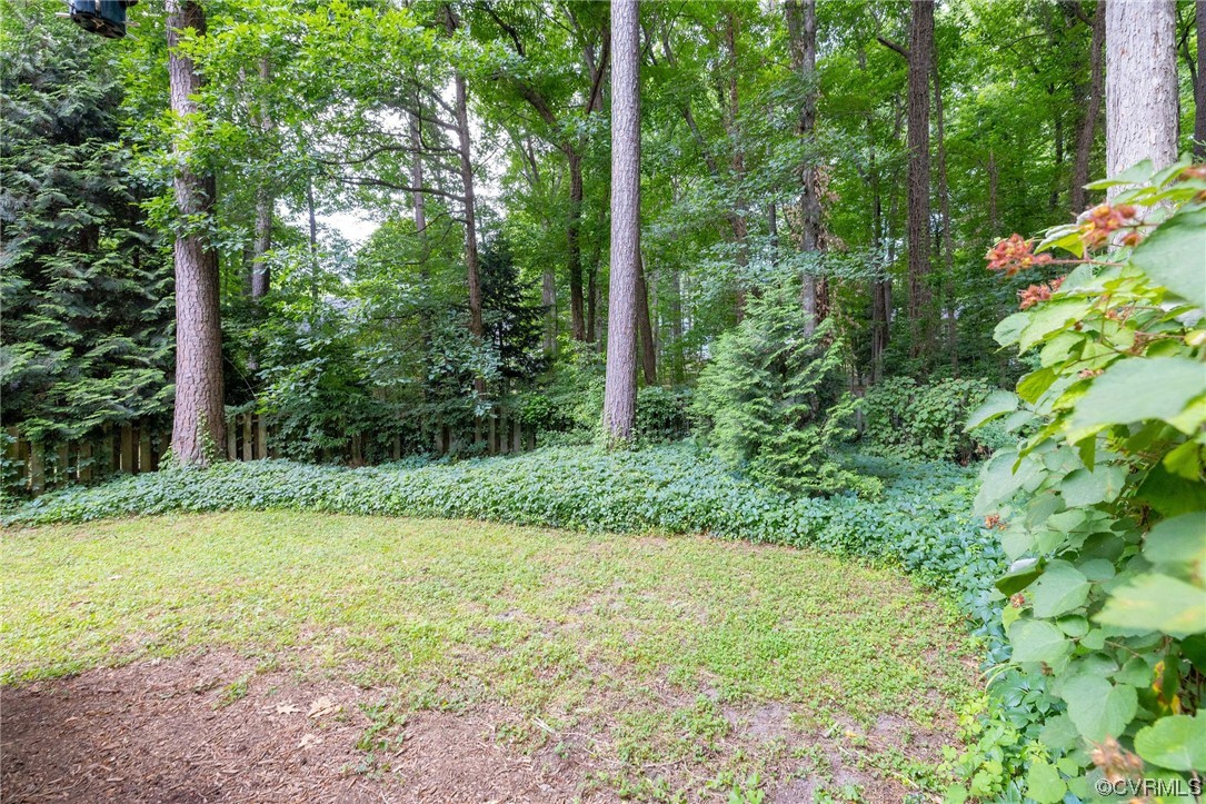 14604 Mill Spring Circle Midlothian, VA 23112 - Photo 28 of 29 Gallery Image 28