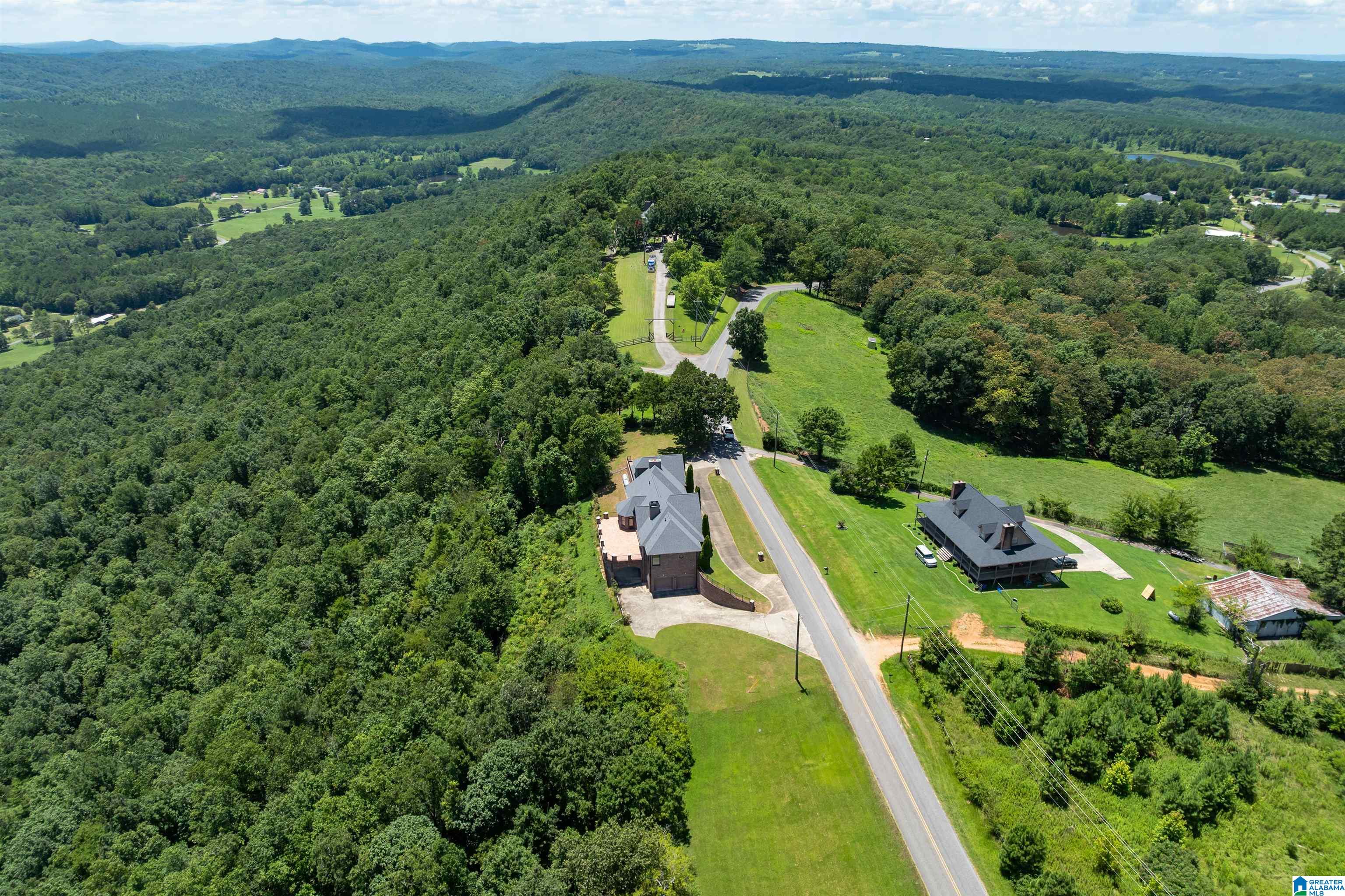 8378 Pine Mountain Road Springville, AL 35146 - Photo 57 of 59