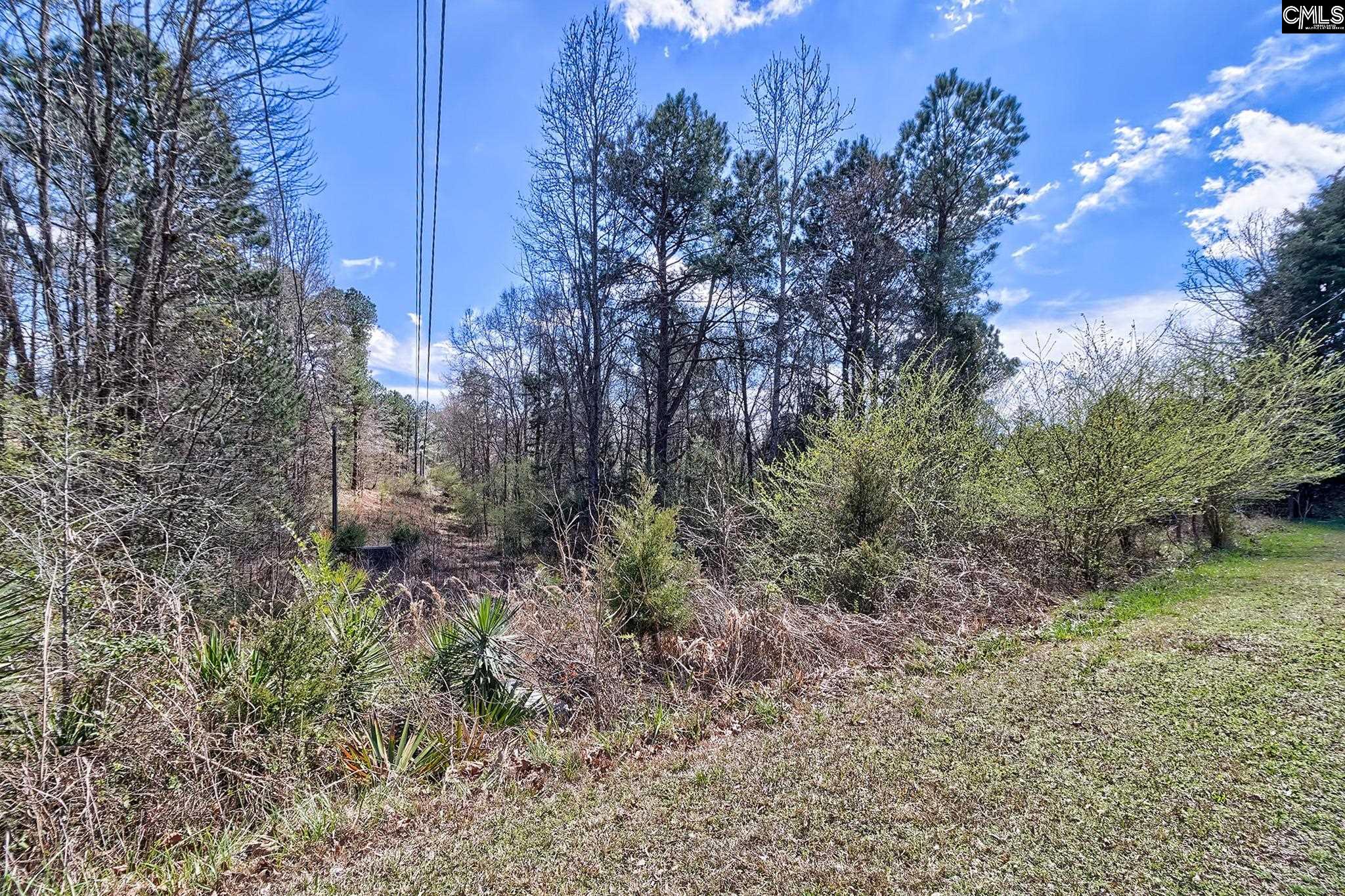 0 Smallstown Road Winnsboro, SC 29180 - Photo 5 of 27