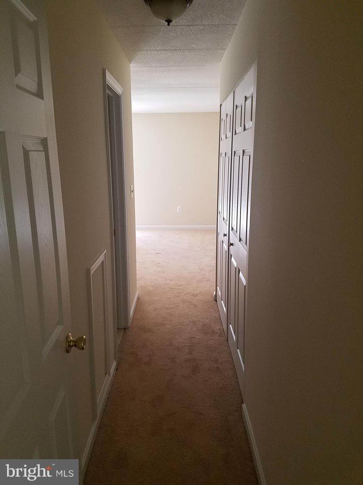 3301 Hewitt Avenue, Unit 402 Silver Spring, MD 20906 - Photo 12 of 19 Interior (General)