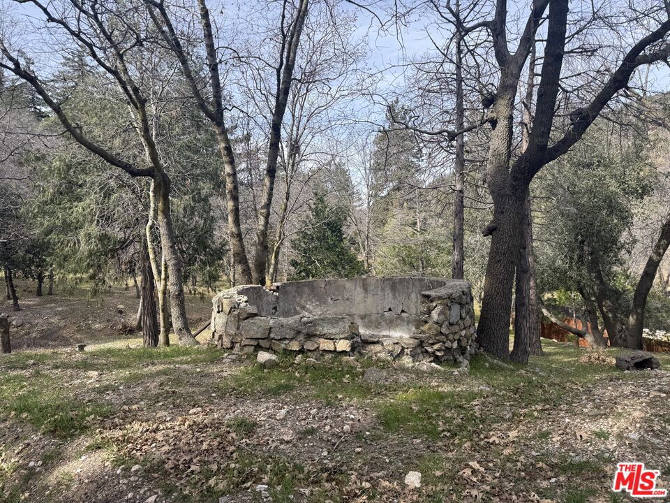 21801 Plunge Road Cedarpines Park, CA 92322 - Photo 6 of 6 a view of a forest filled with trees
