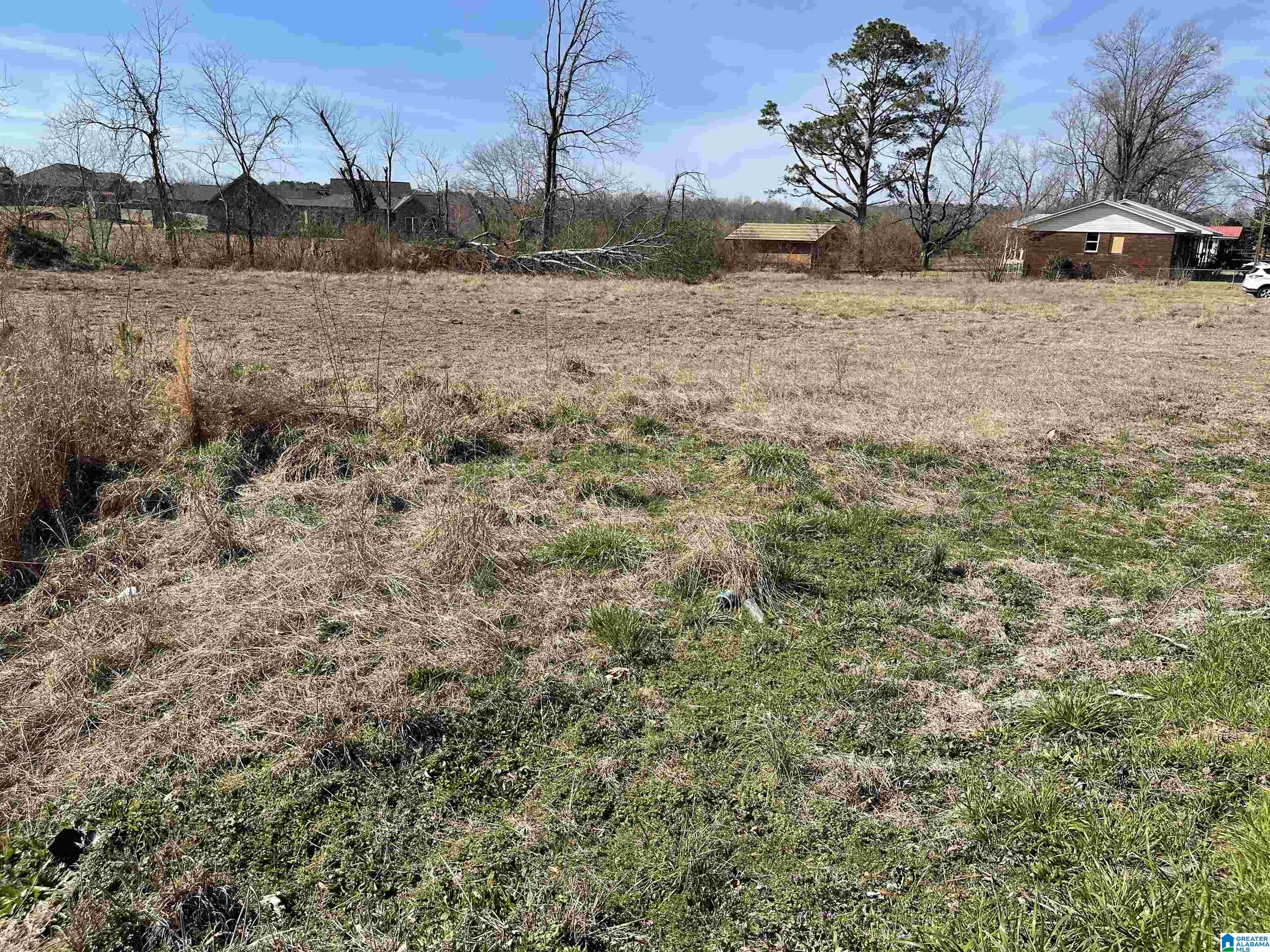 125 Mooney Road, Unit 1 & 2 Columbiana, AL 35051 - Photo 5 of 5