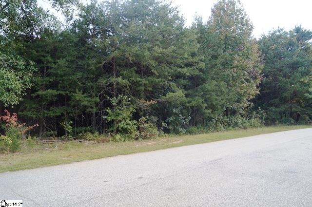 261 Shadow Lane Lyman, SC 29365 - Photo 16 of 19 Gallery Image 16