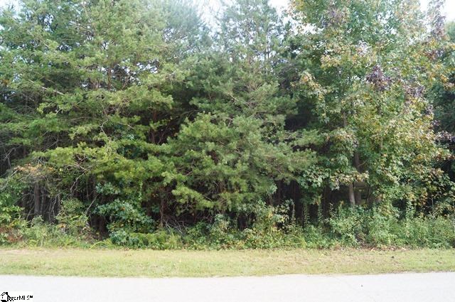 261 Shadow Lane Lyman, SC 29365 - Photo 18 of 19 Gallery Image 18