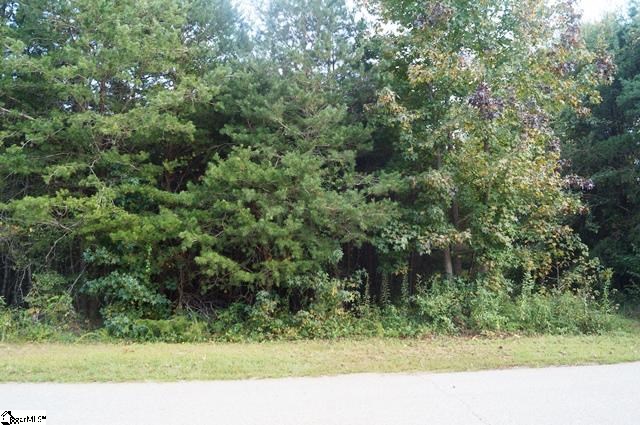 261 Shadow Lane Lyman, SC 29365 - Photo 19 of 19 Gallery Image 19