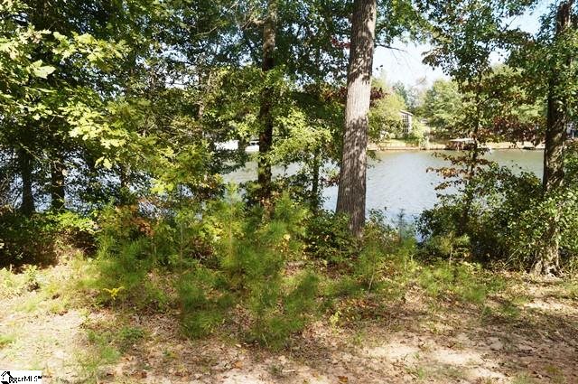 261 Shadow Lane Lyman, SC 29365 - Photo 10 of 19 Gallery Image 10