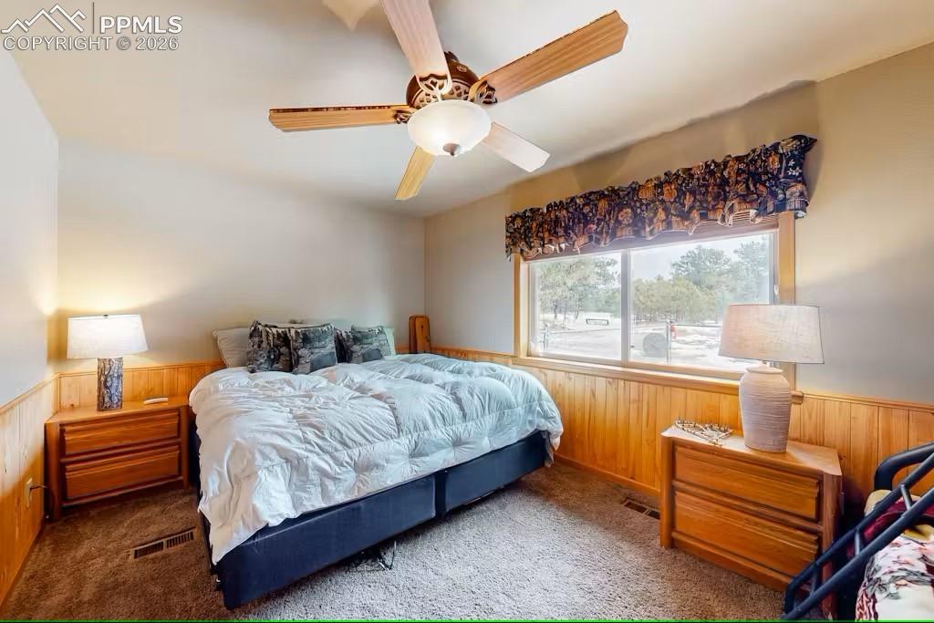 143 Ring Road Guffey, CO 80820 - Photo 16 of 36 Bedroom 1 featuring wooden walls, visible vents, carpet flooring, and wainscoting
