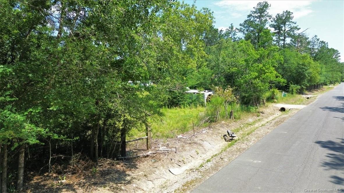 Brahman Drive Ragley, LA 70657 - Photo 4 of 6
