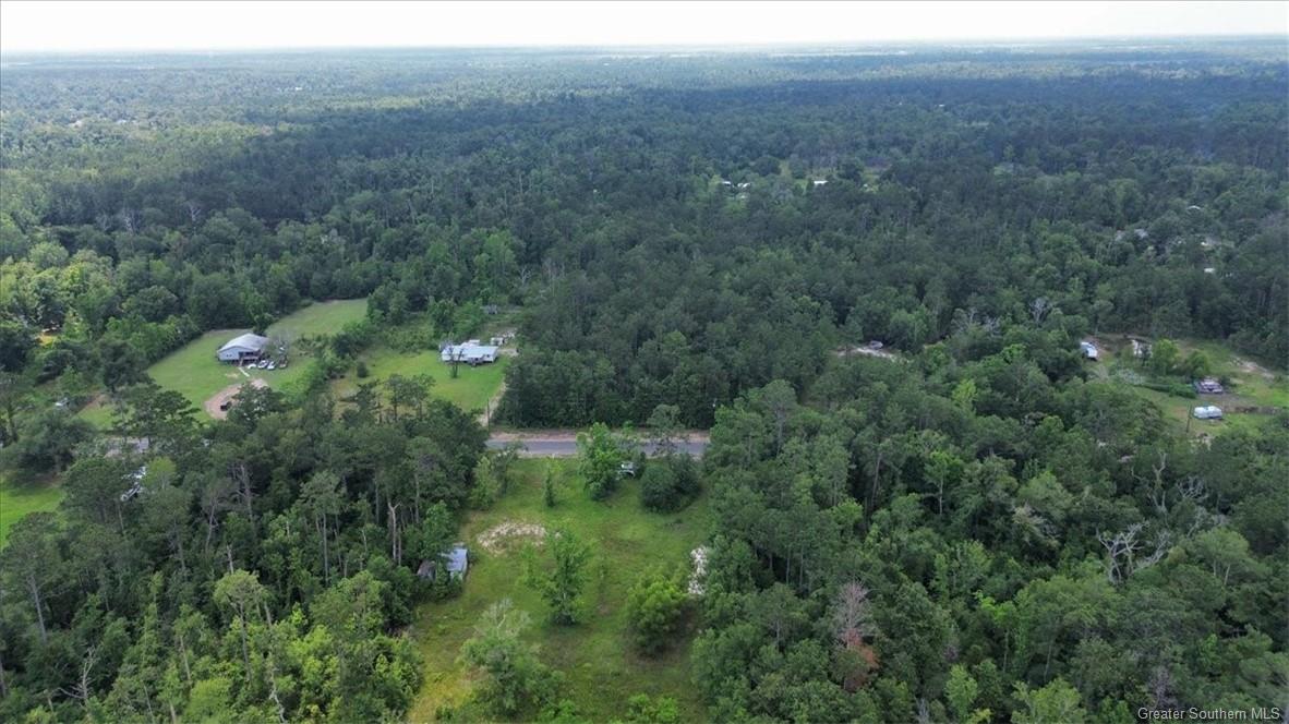 Brahman Drive Ragley, LA 70657 - Photo 6 of 6