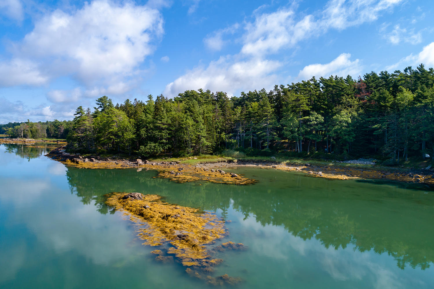 320-330 Sound Drive Mount Desert, ME 04660 - Photo 67 of 68 Sargent Cove