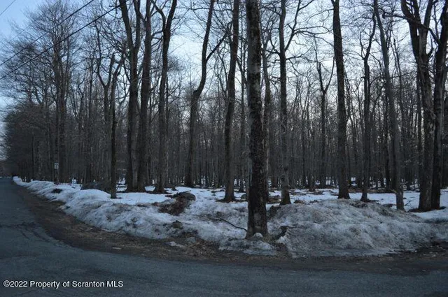 a view of outdoor space with trees