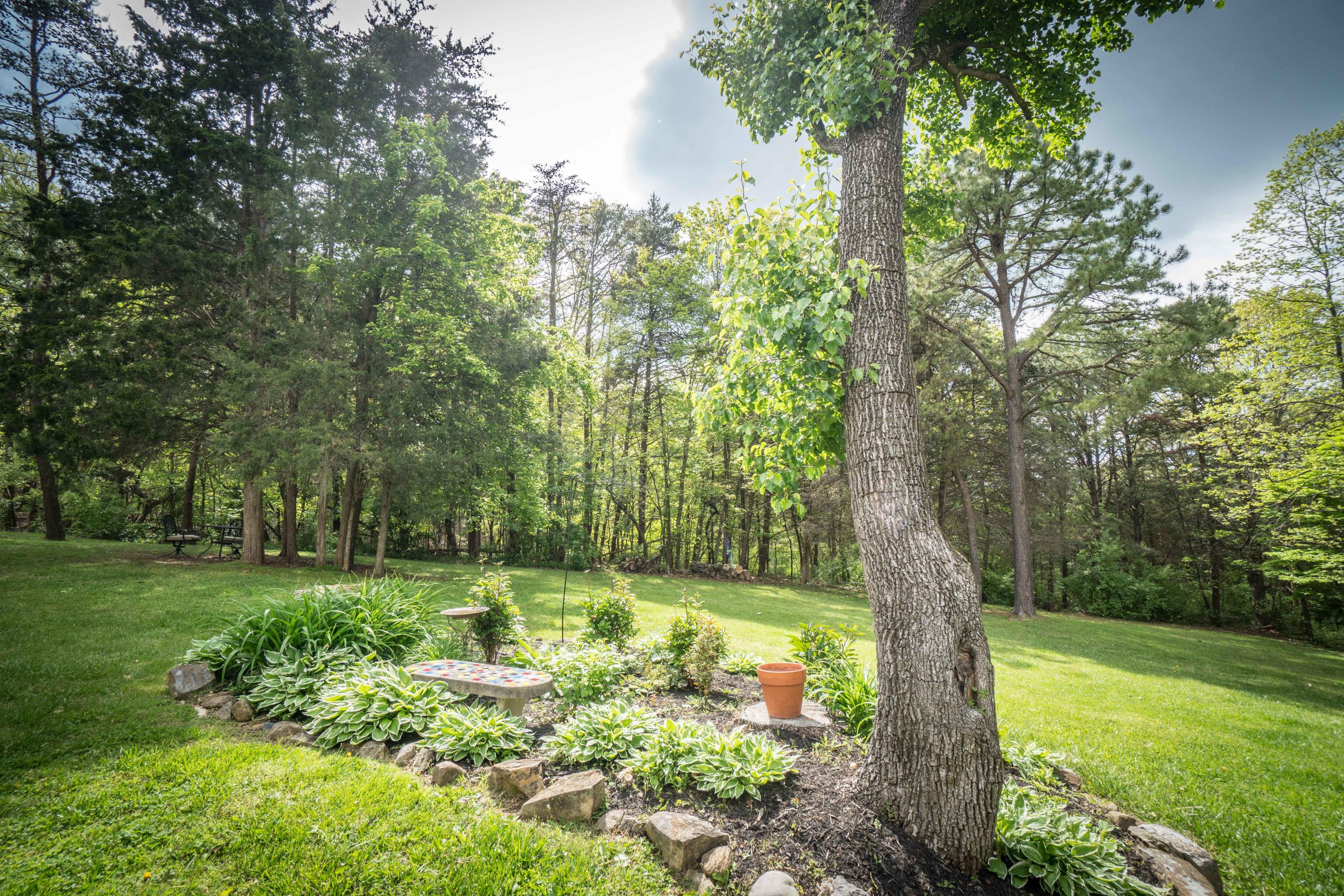 183 Stage Road Buchanan, VA 24066 - Photo 6 of 61 Landscaping