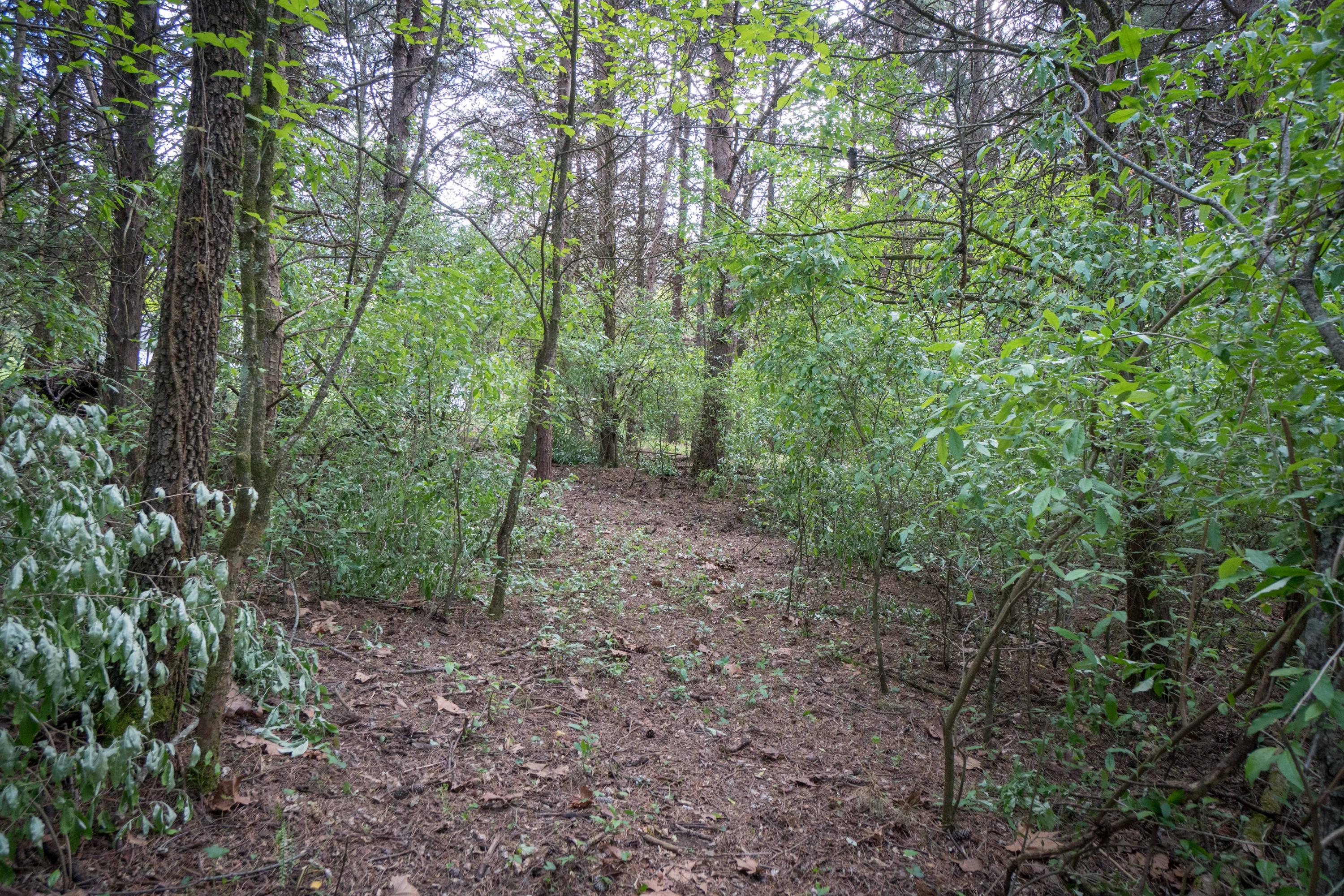 183 Stage Road Buchanan, VA 24066 - Photo 56 of 61 Spring