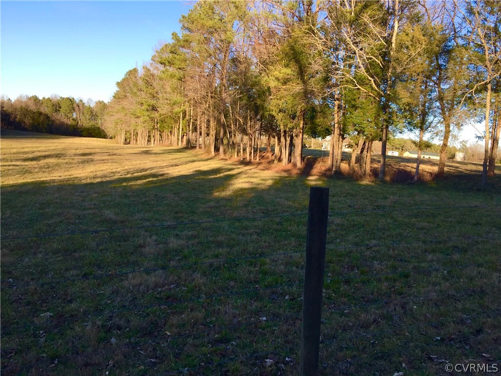 0 Beaverdam School Road Beaverdam, VA 23015 - Photo 3 of 7 a view of yard with trees