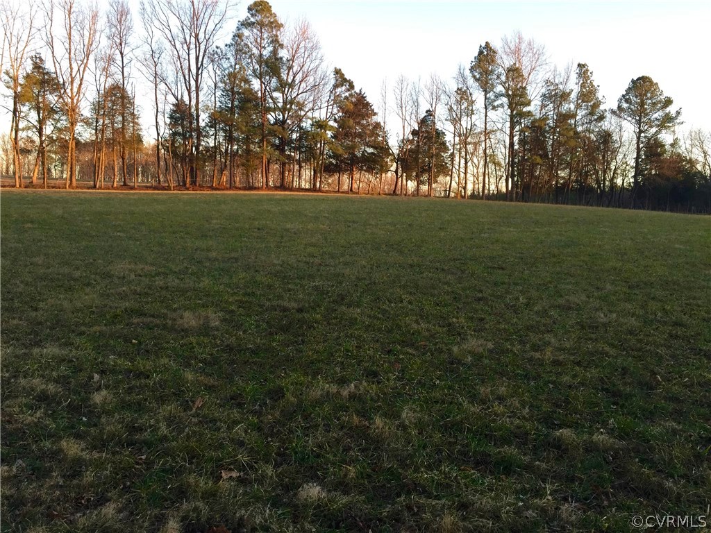 0 Beaverdam School Road Beaverdam, VA 23015 - Photo 7 of 7 a view of yard with trees