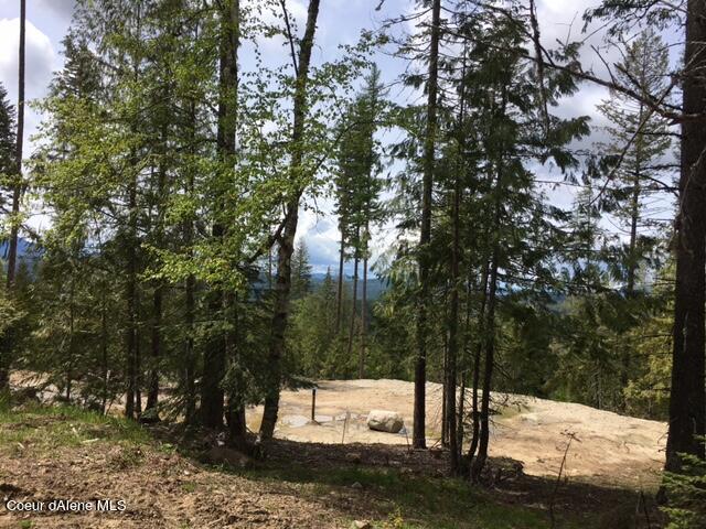 Nnn Cohage Road Sandpoint, ID 83864 - Photo 1 of 1 IMG_1401